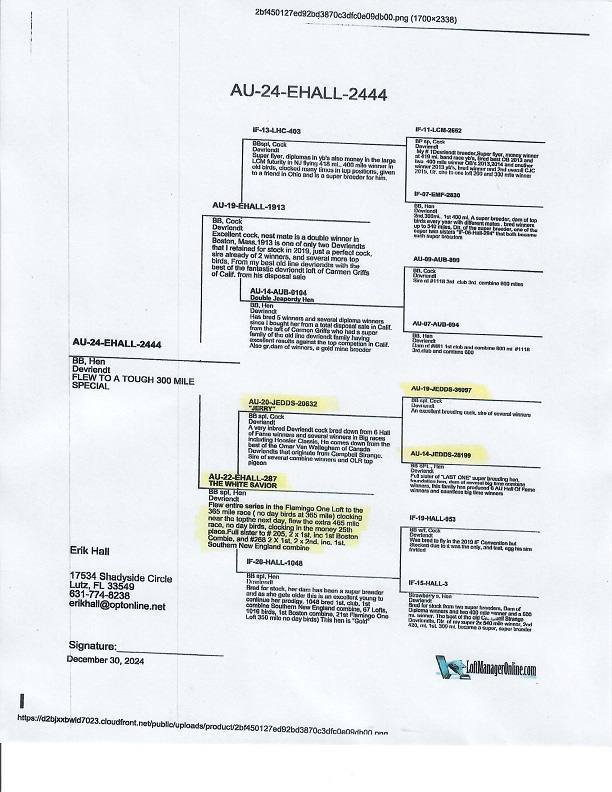 Preview Image 9