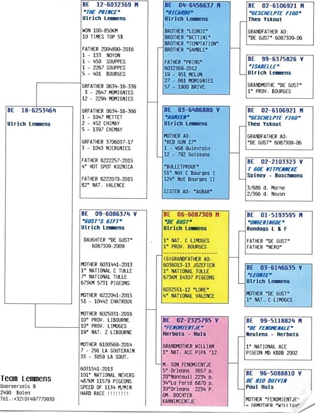 ULRICH LEMMENS BE 6253464 BC MALE