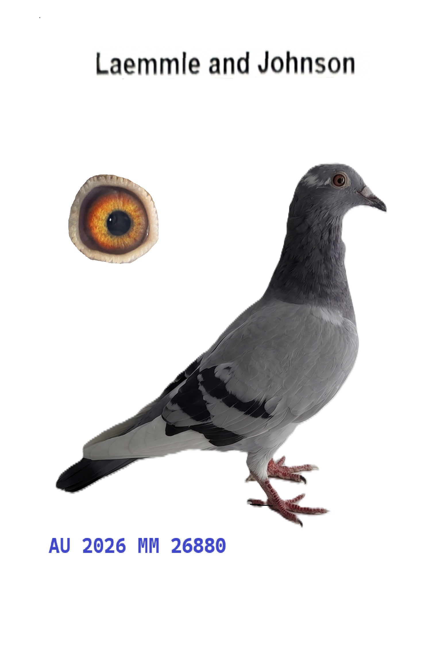 AU 26 MM 26880