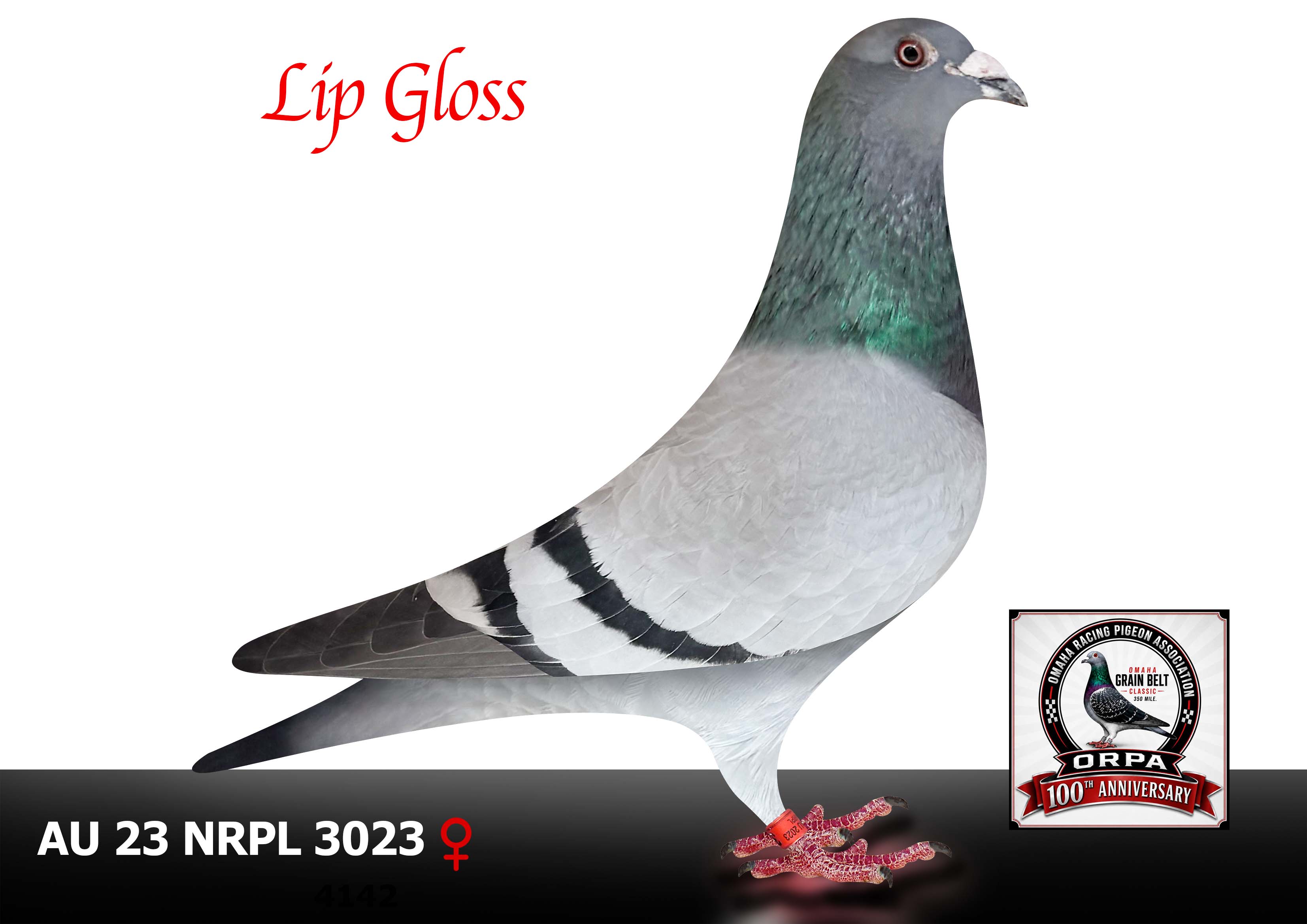 AU 23 NRPL 3023 Hen