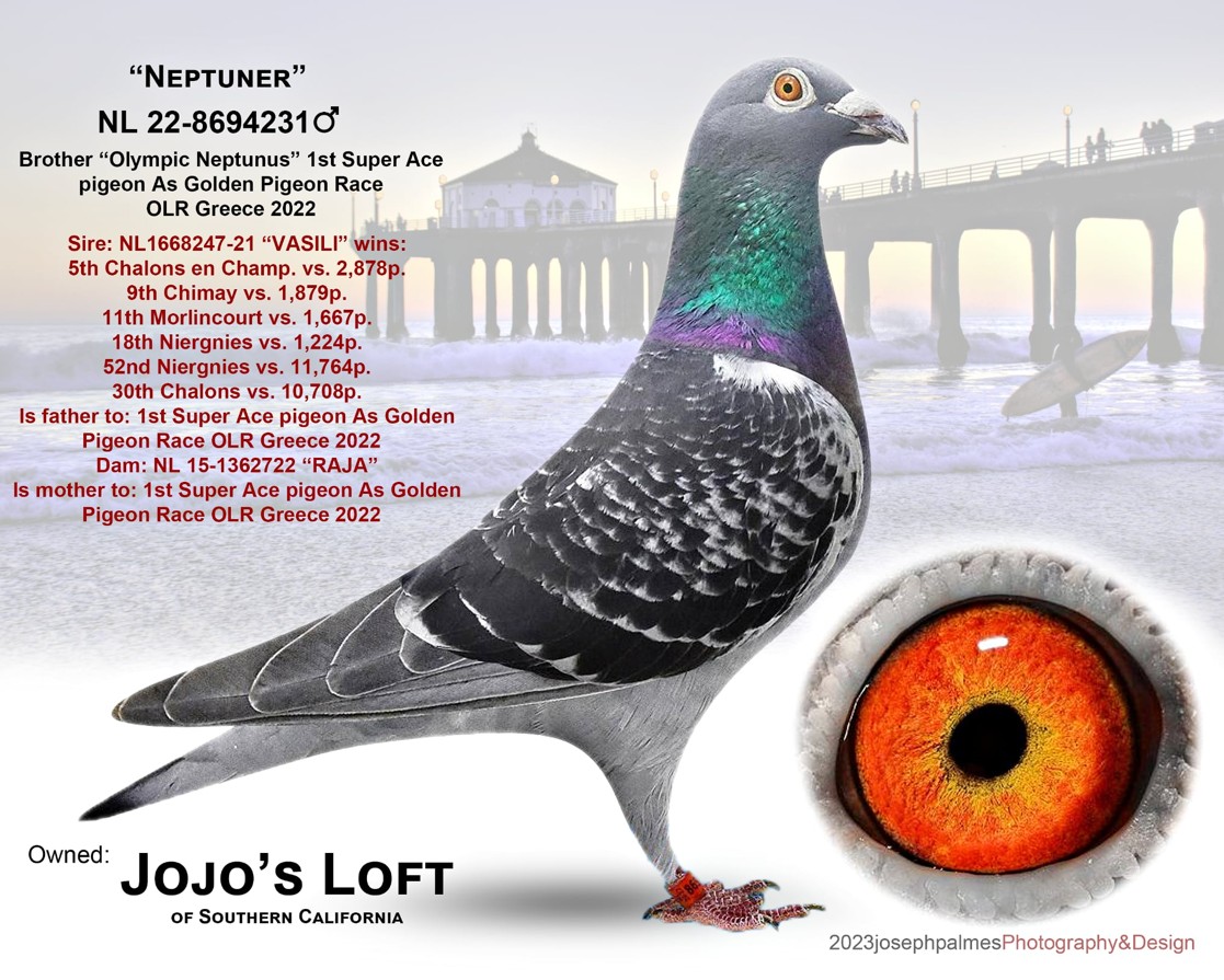 AU 2024 JOJO 154 BC C