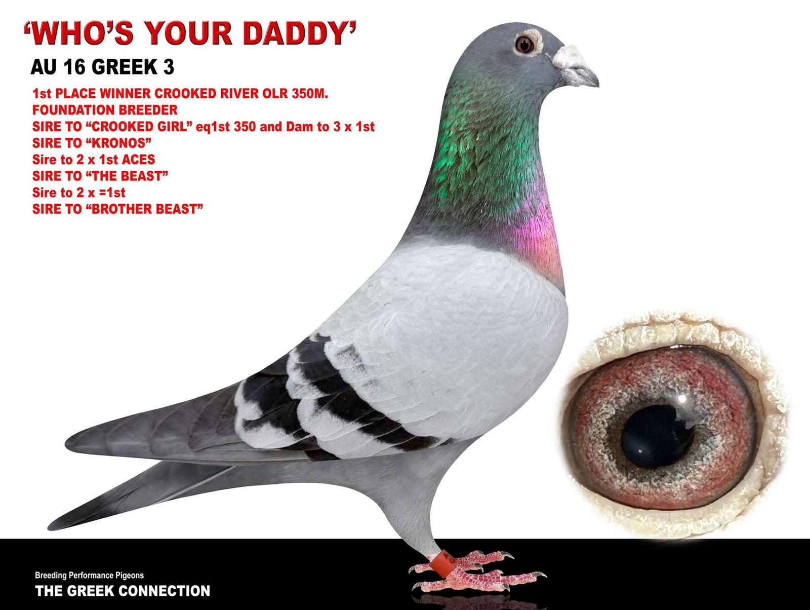 We are offering this beautiful example of the best of Greek Connection Lofts