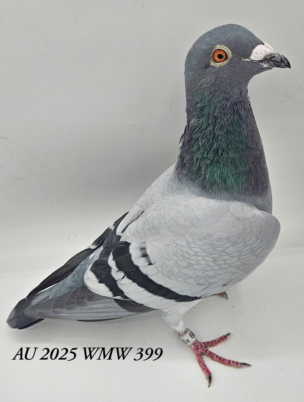 AU 25 WMW 399