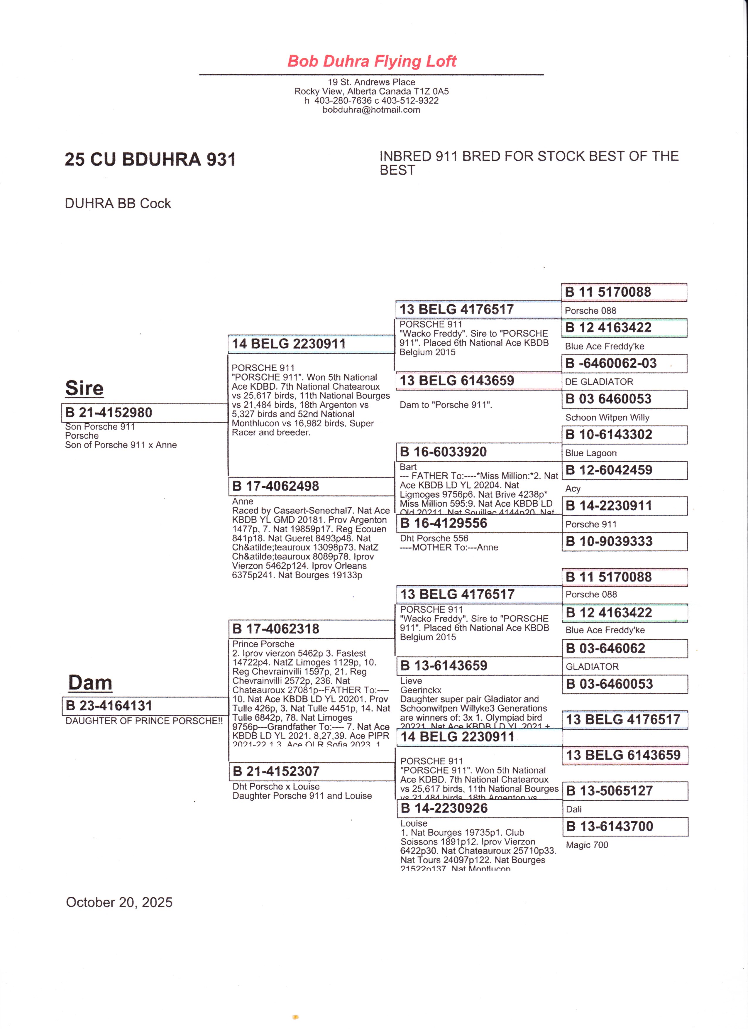CU 25 BDUHRA 931 BB Cock