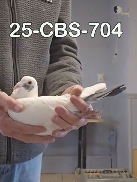 25-CBS-704 White male. 