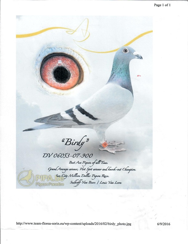 Preview Image 11