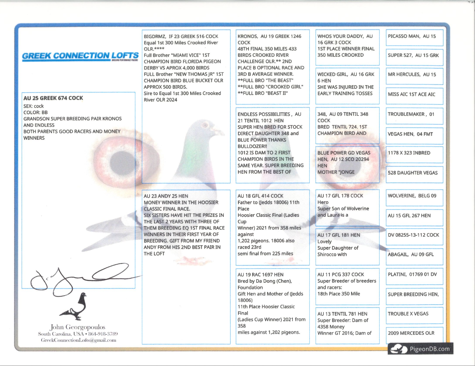 Preview Image 2