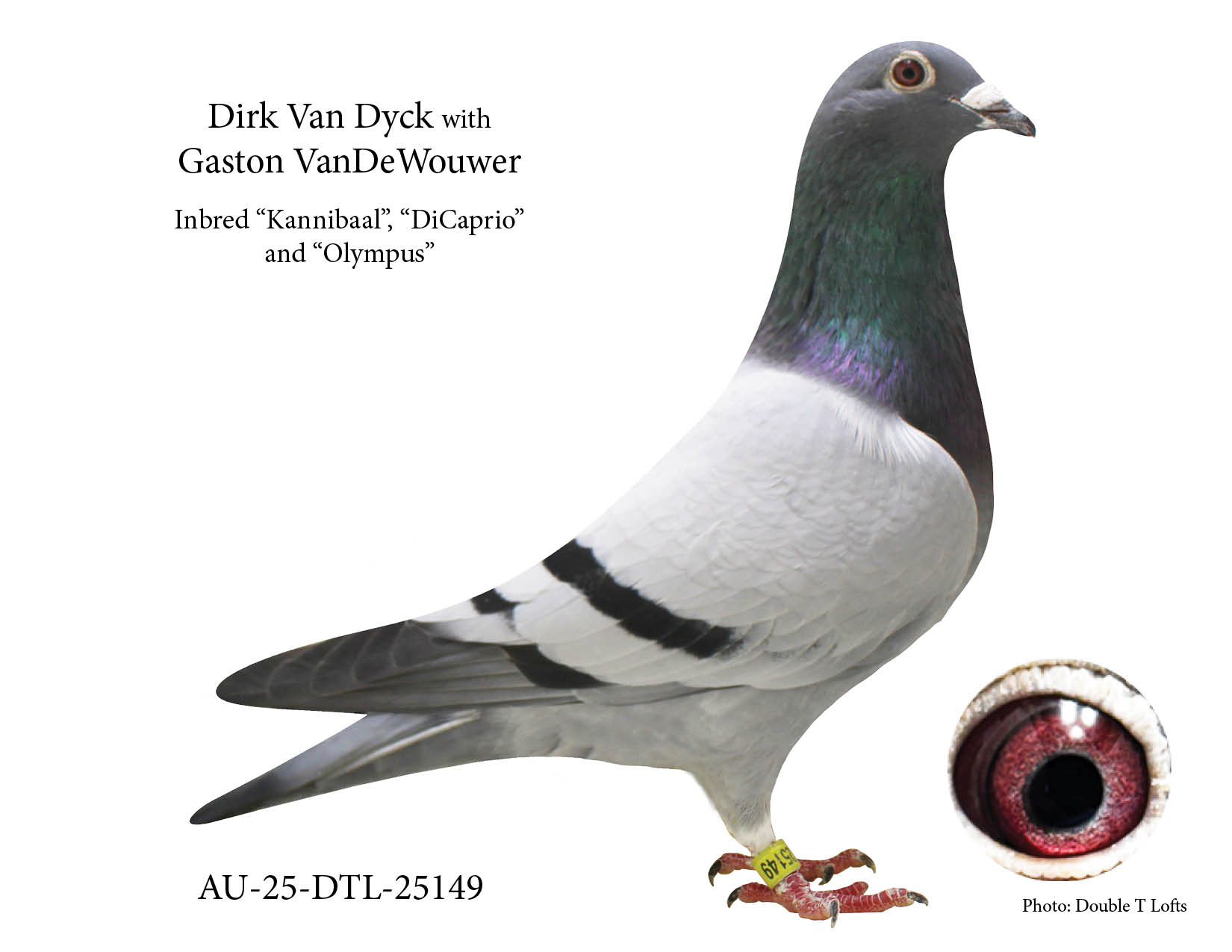 Highly Inbred "DiCaprio" & "Kannibaal"