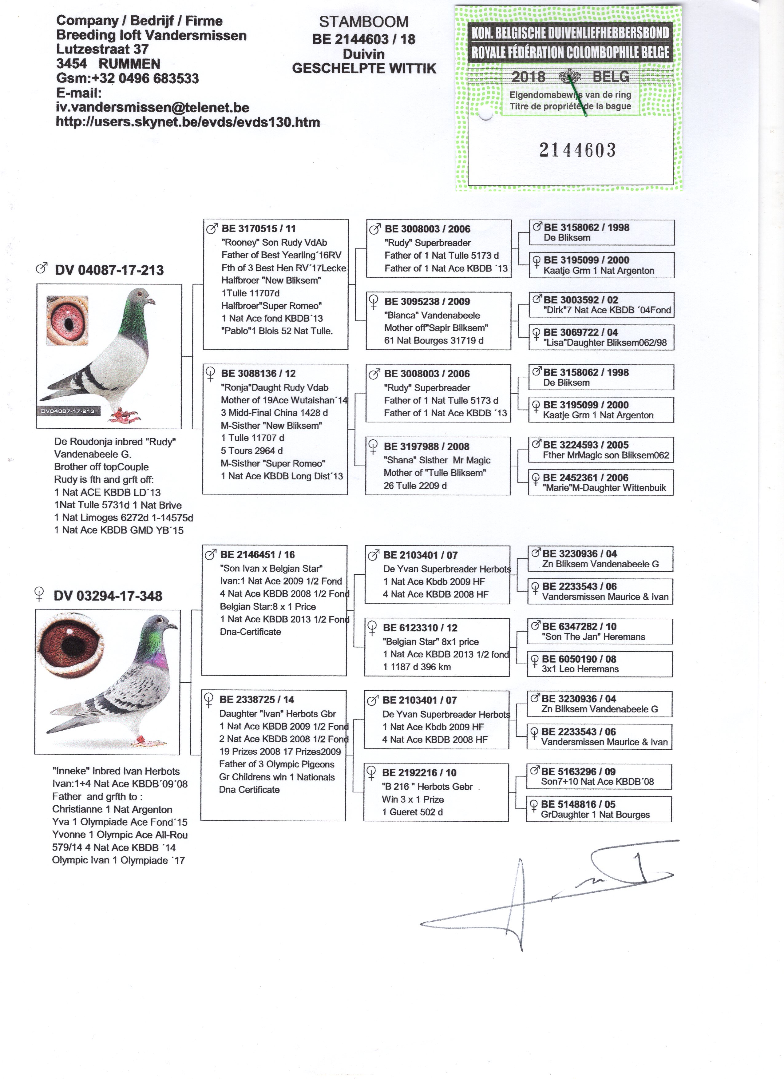 Preview Image 3