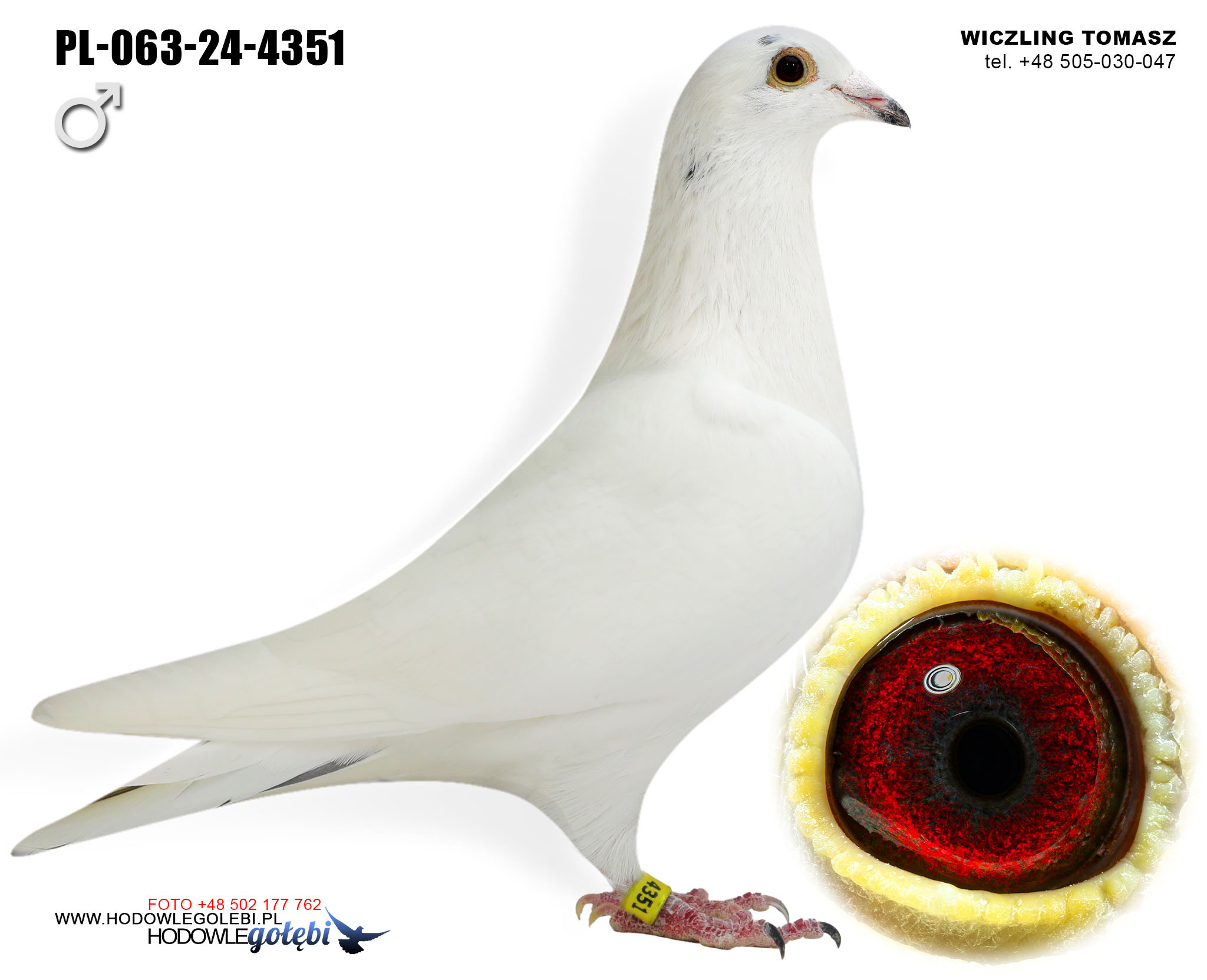 PL-063-24-4351 C