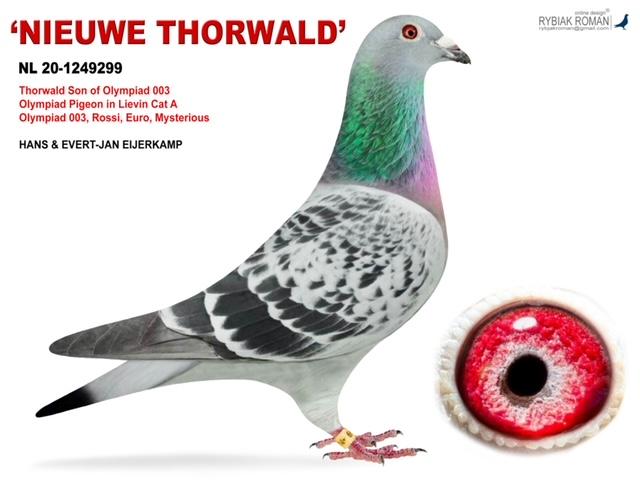 NIEUWE THORWALD