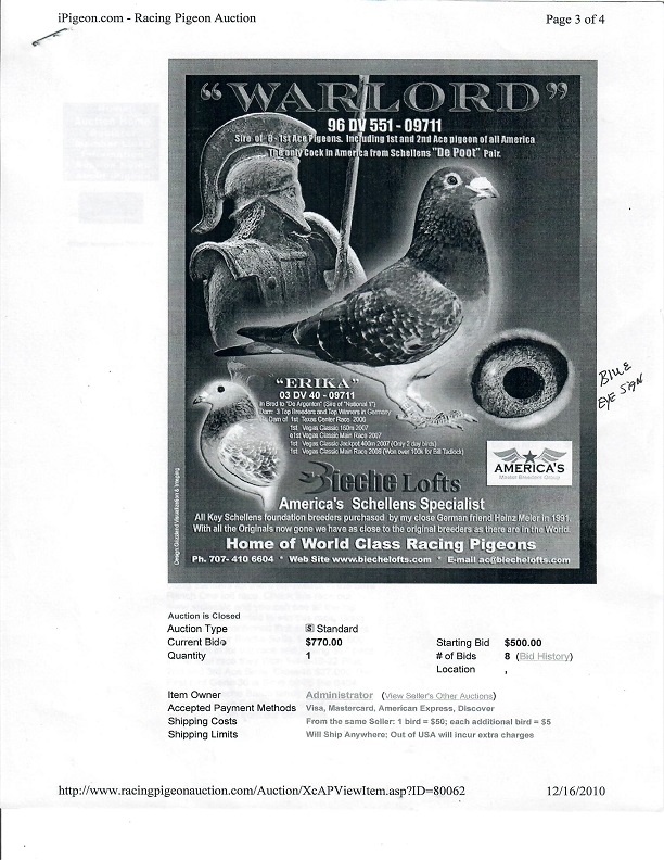 Preview Image 16