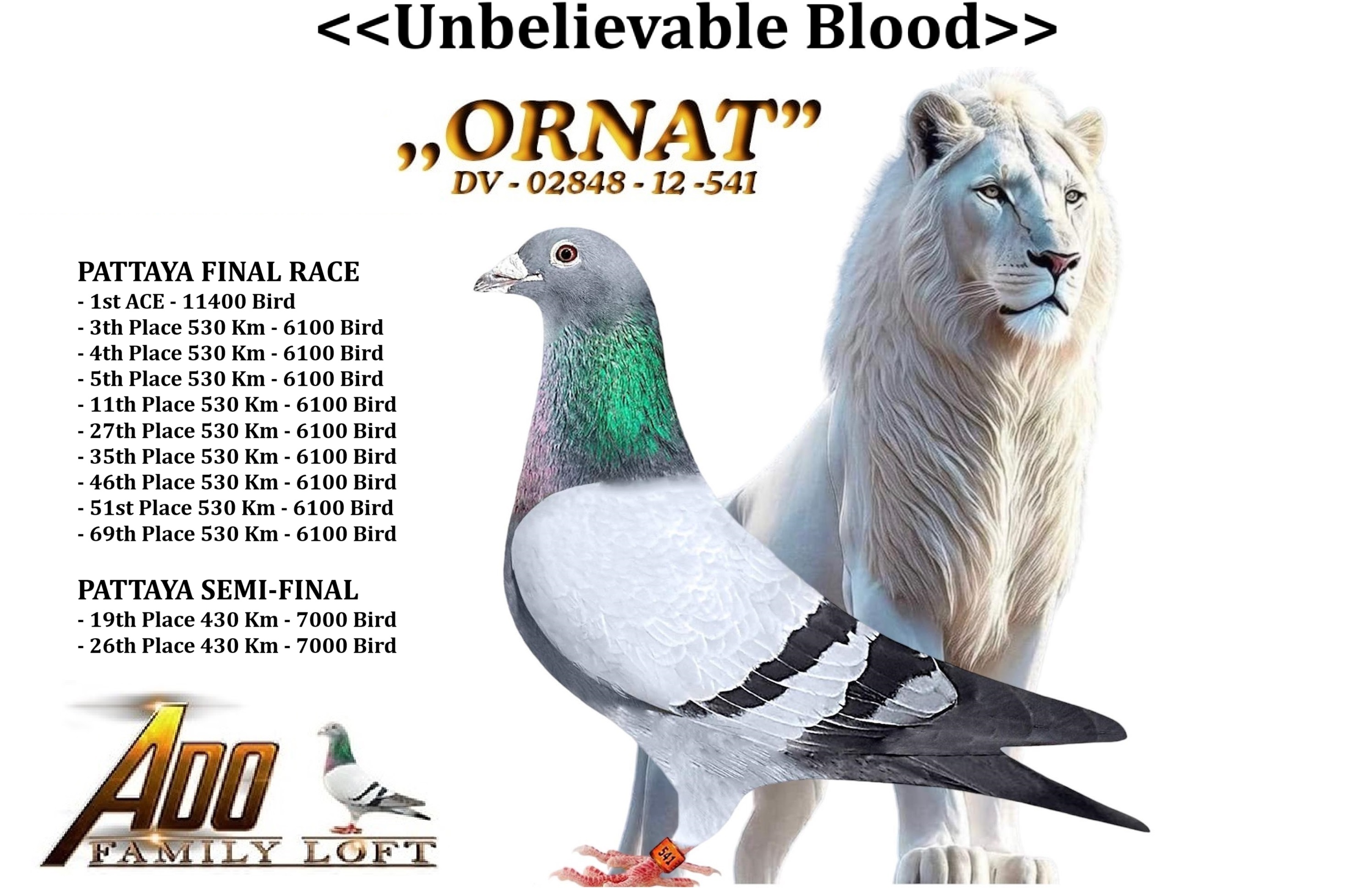 Preview Image 9
