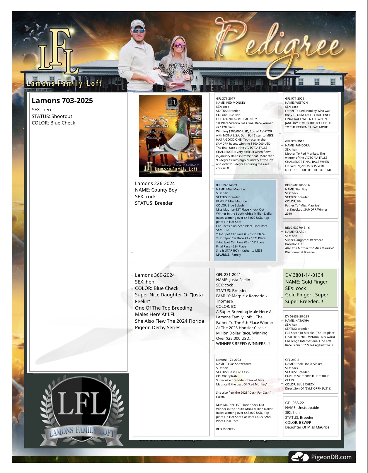 Lamons 703-2025 “Hen”