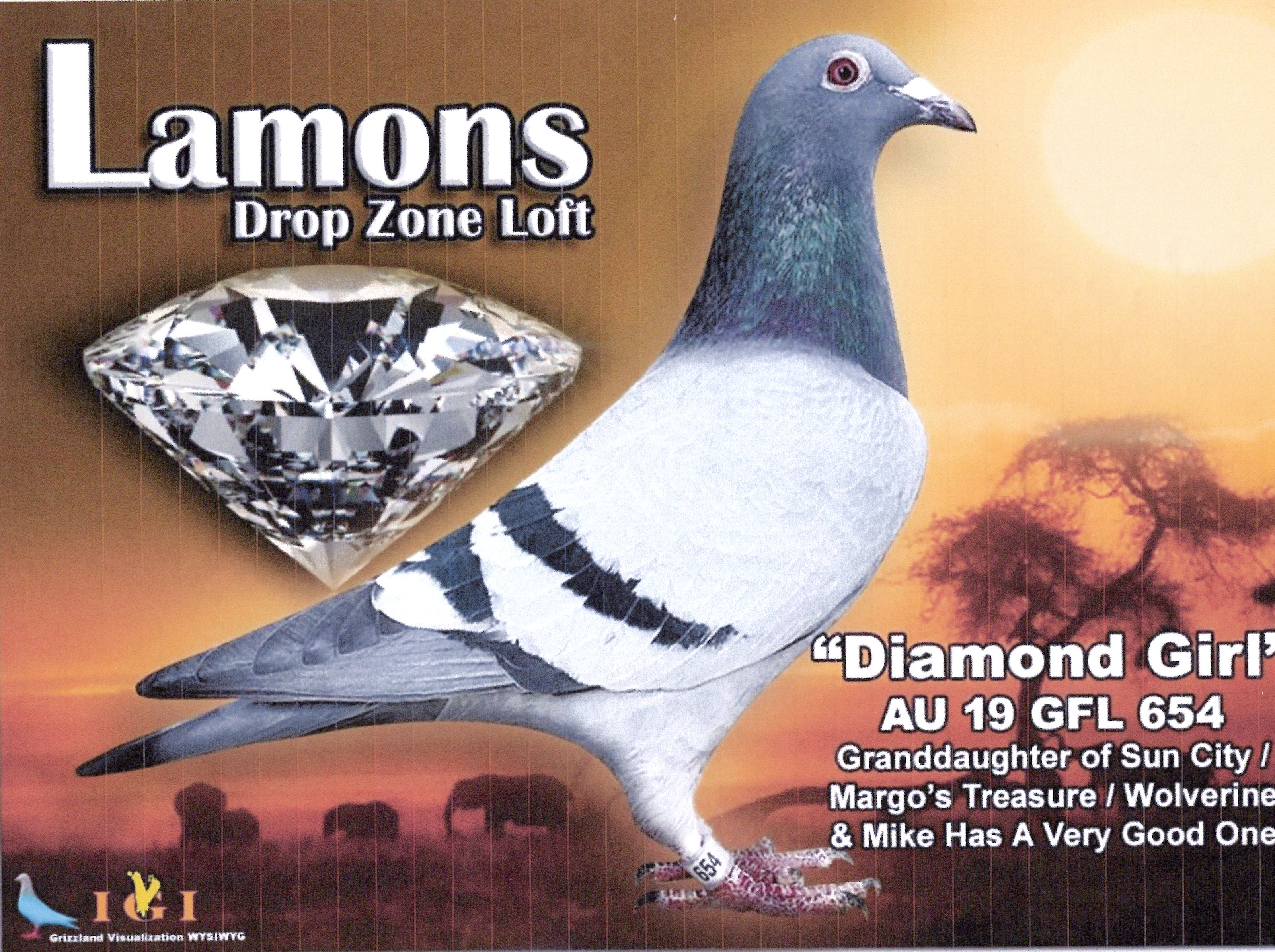 VITA KING-2174-22 BB COCK