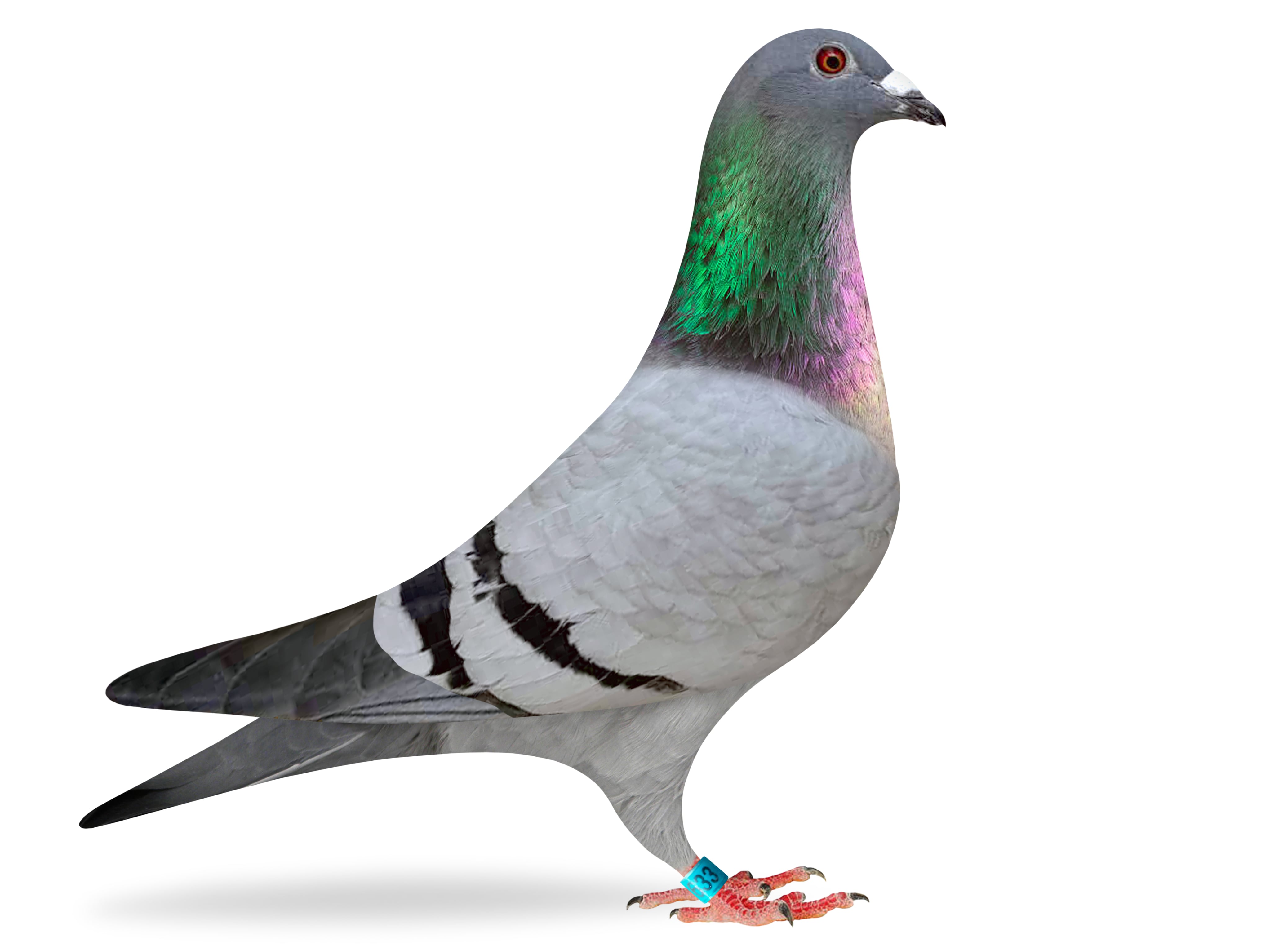 Donated by Jeff Lamberton