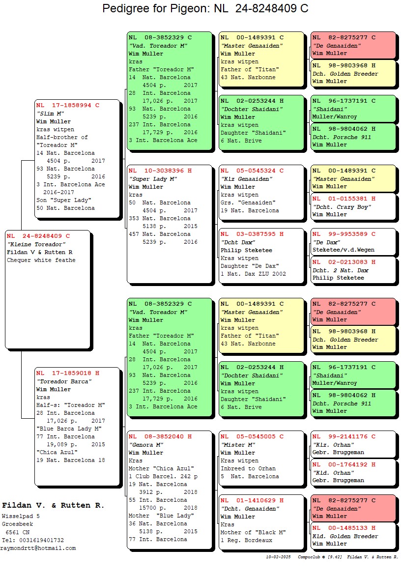 Preview Image 2