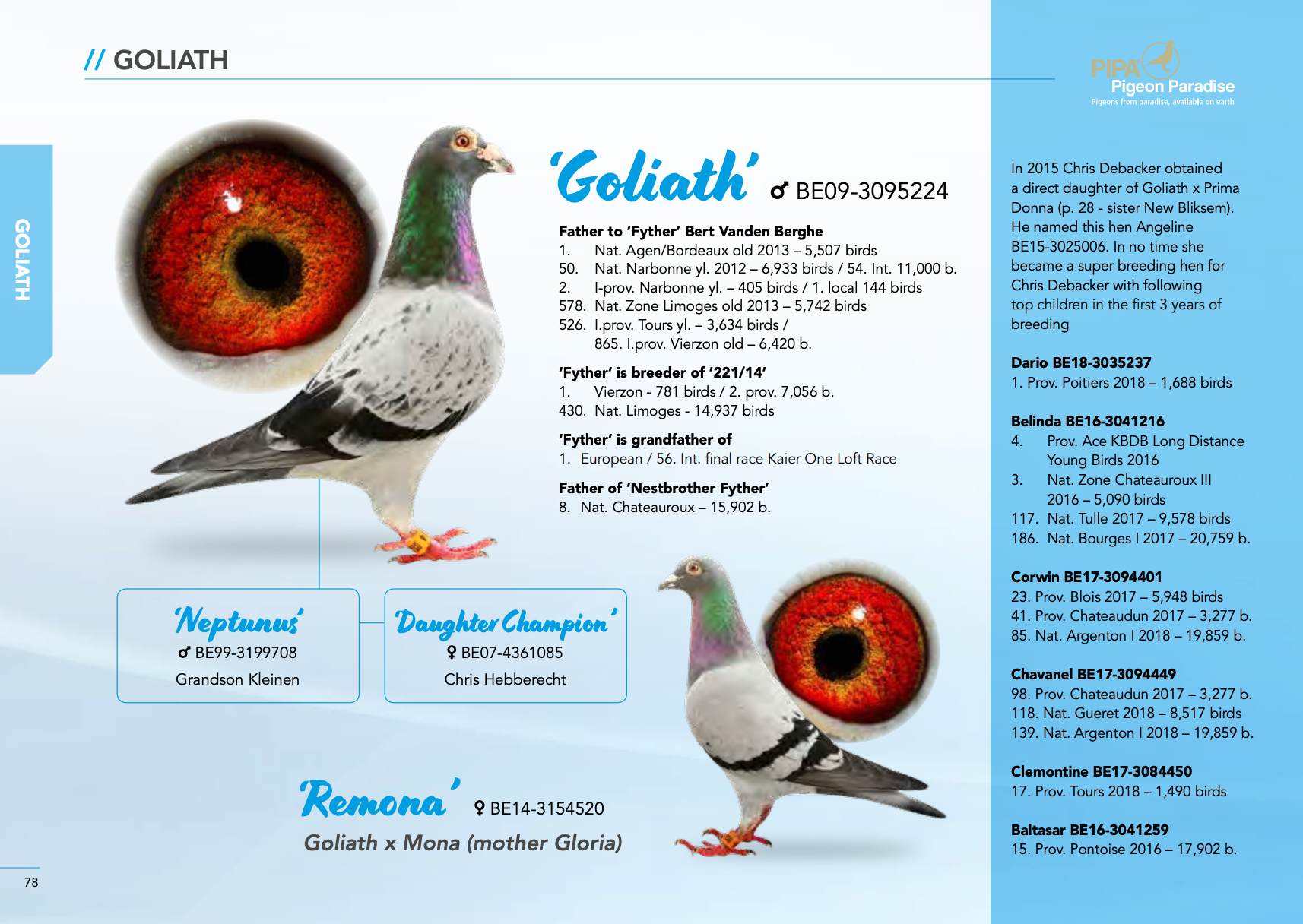 Preview Image 10