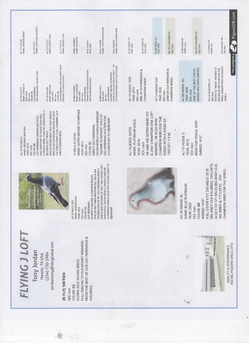 BEST OF OUR DYNASTY FAMILY