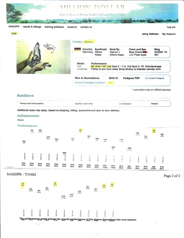 Preview Image 2