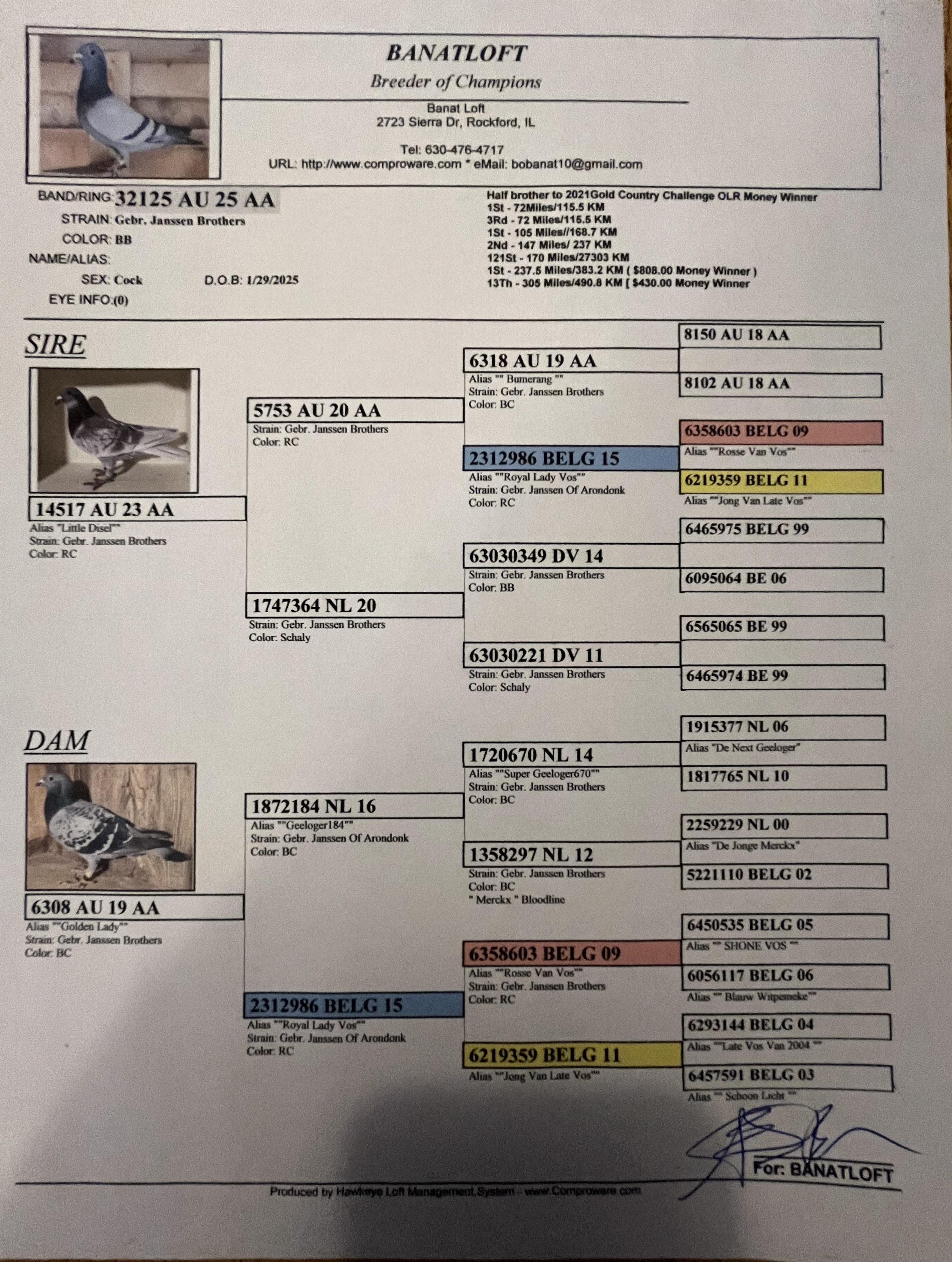 AU-25-AA 32125 BB cock