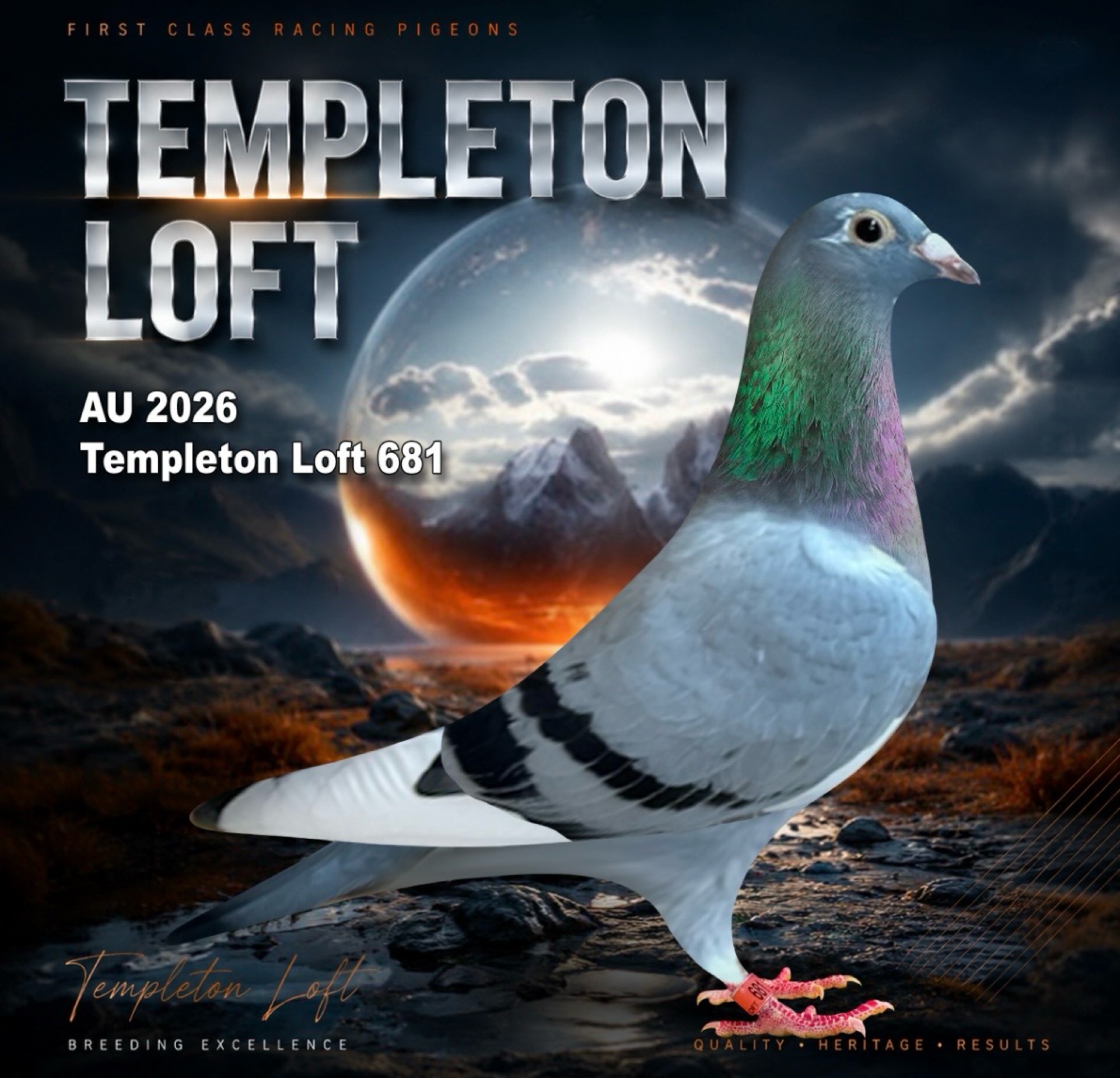 TEMPLETON LOFT 2026/681