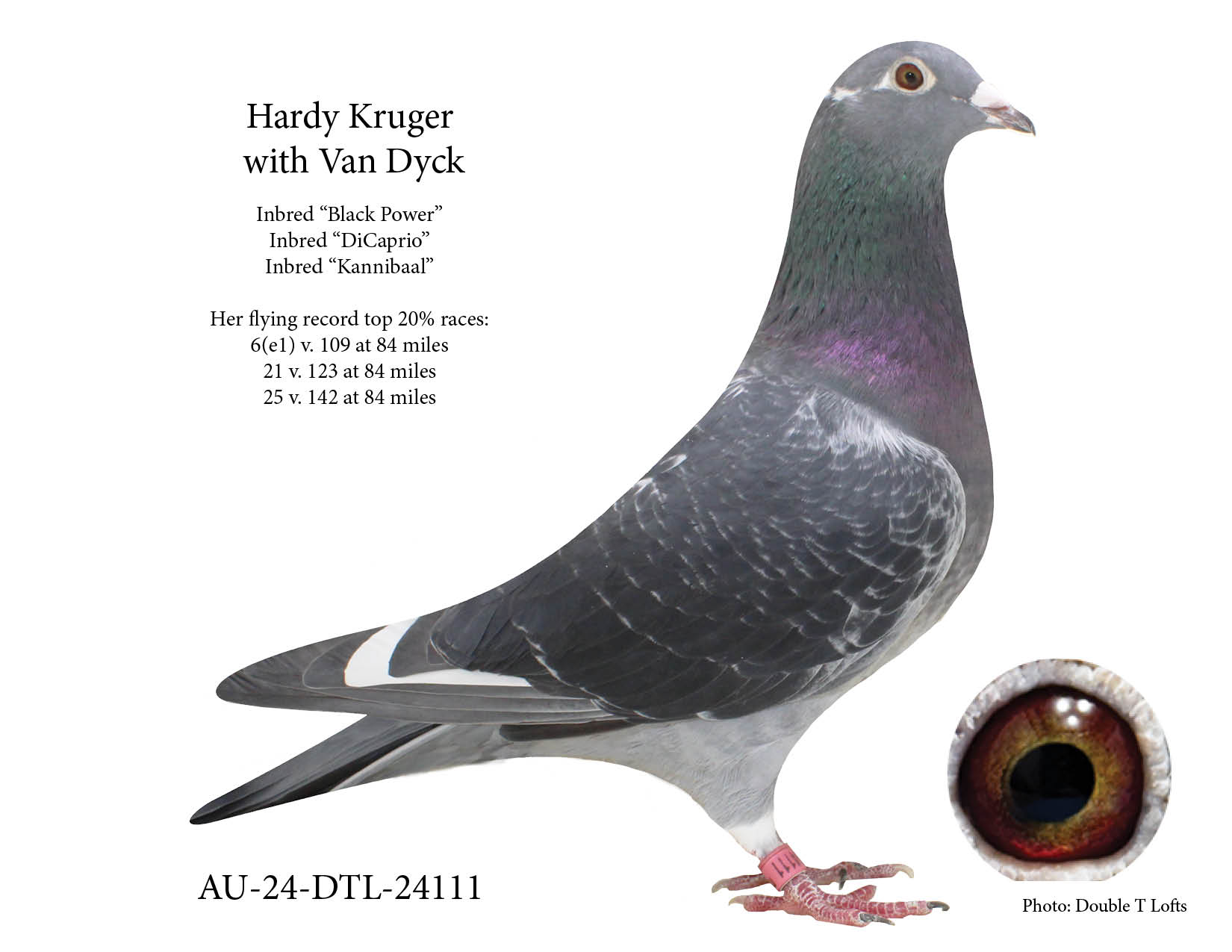 Sire was 3rd AU Hall of Fame 2023 YBs