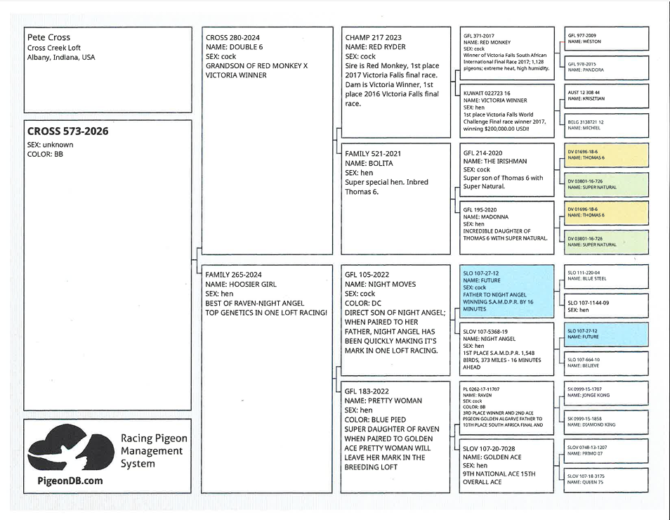 Preview Image 2