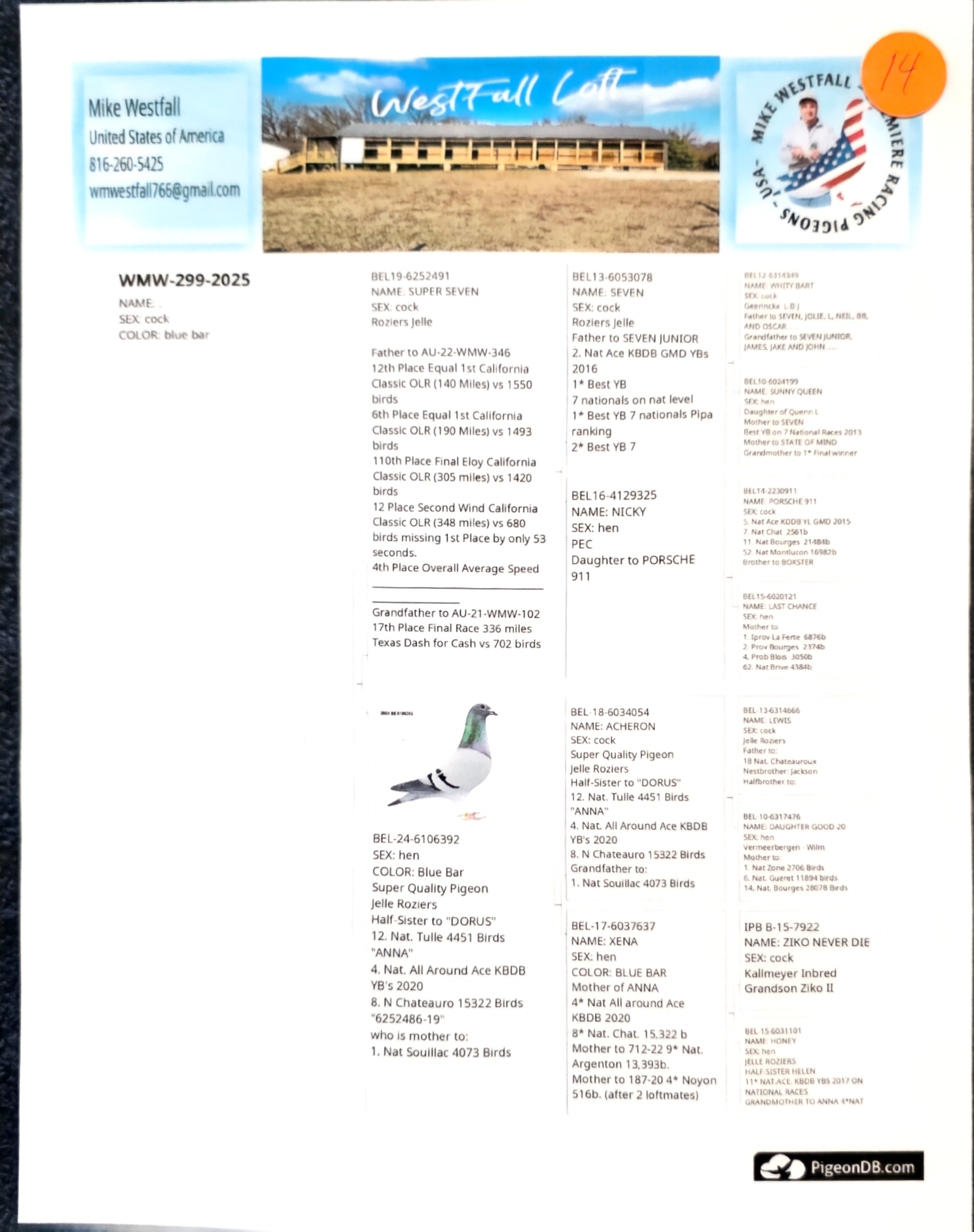 Preview Image 2