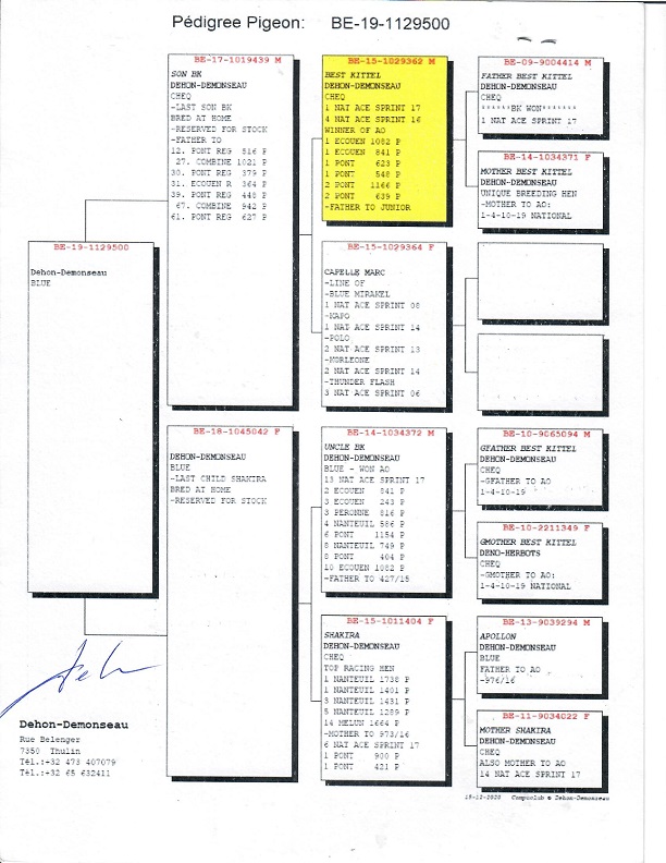 Preview Image 5
