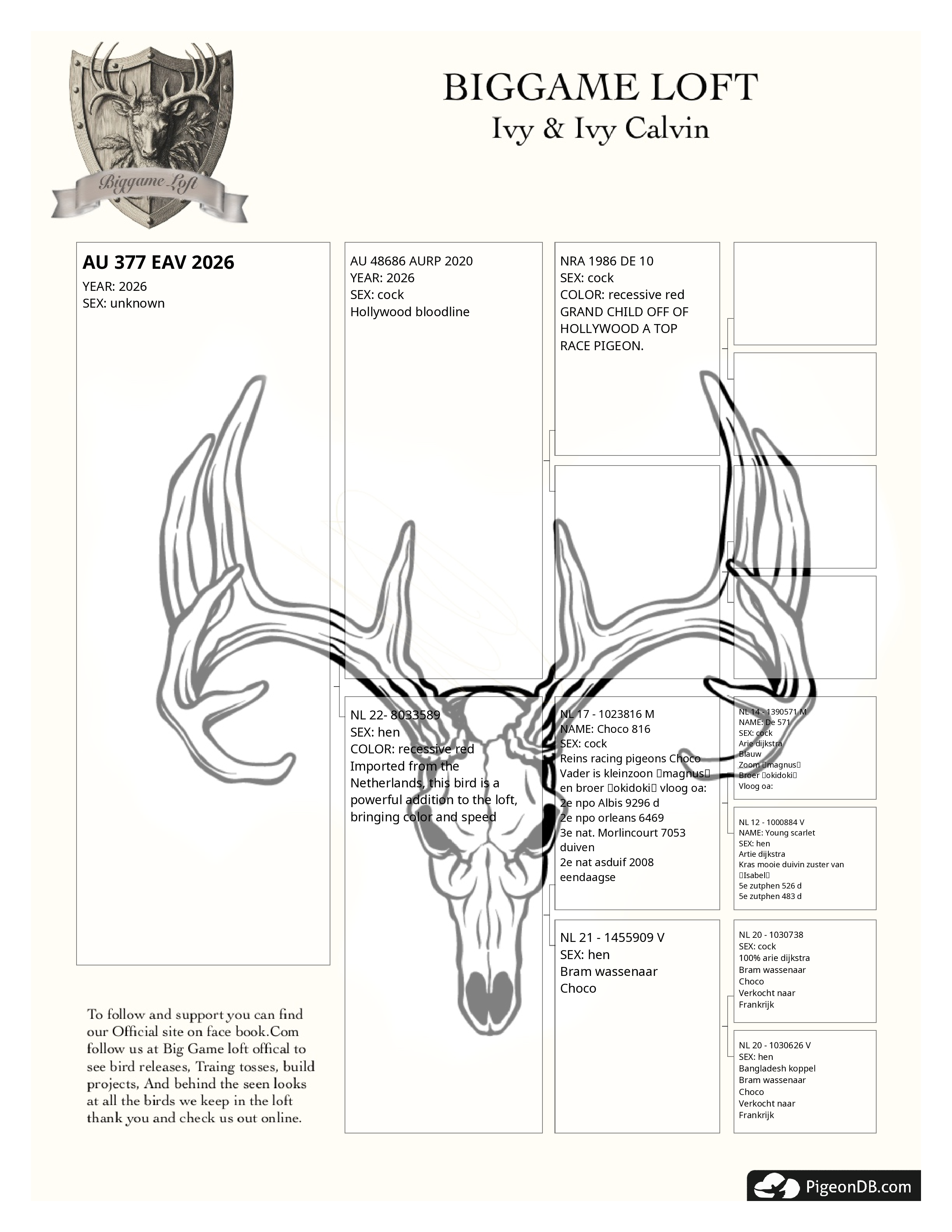 Preview Image 2