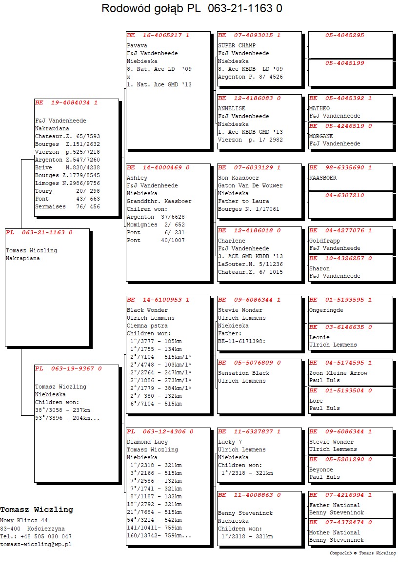 Preview Image 2