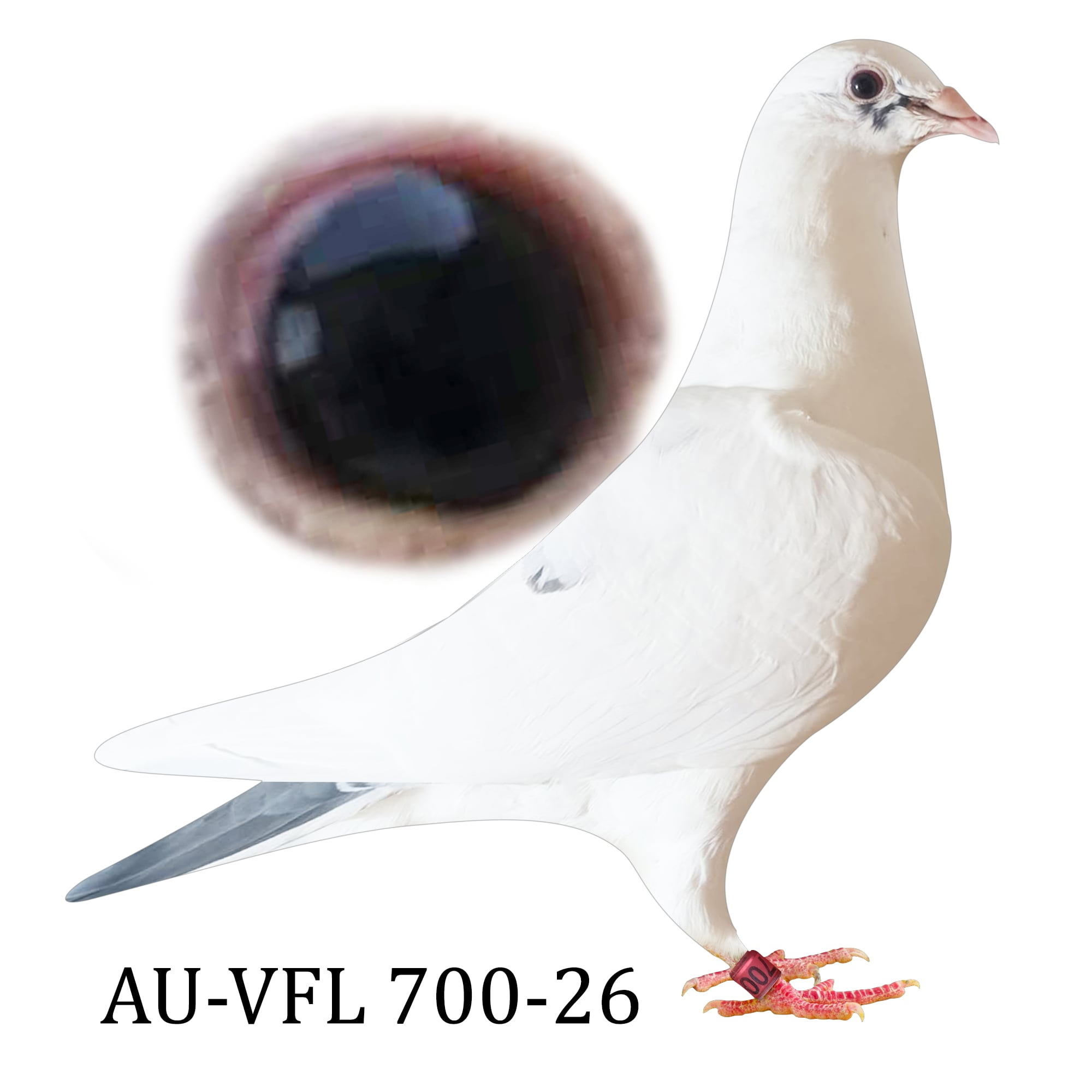 AU 26 VFL 700