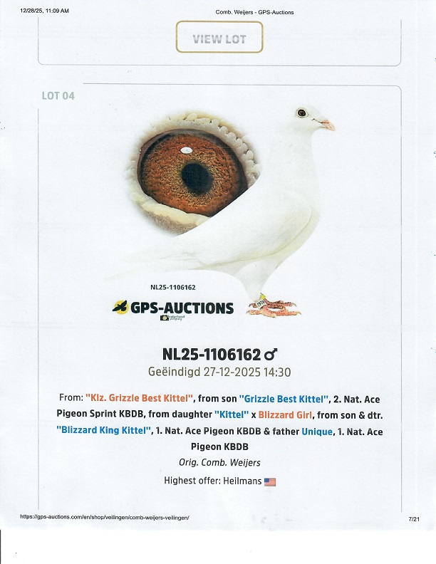 Preview Image 3
