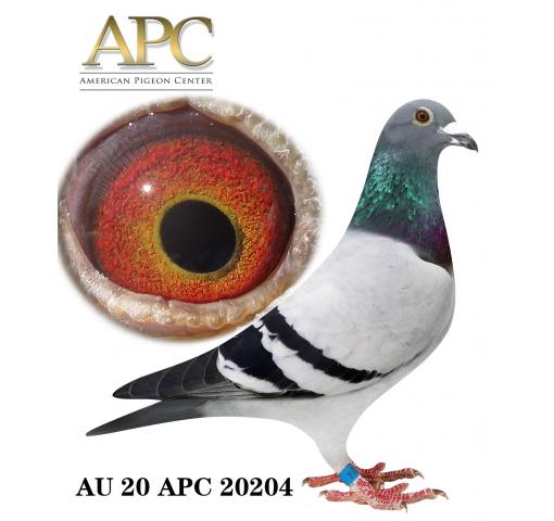 AU 20 APC 20204 BB C