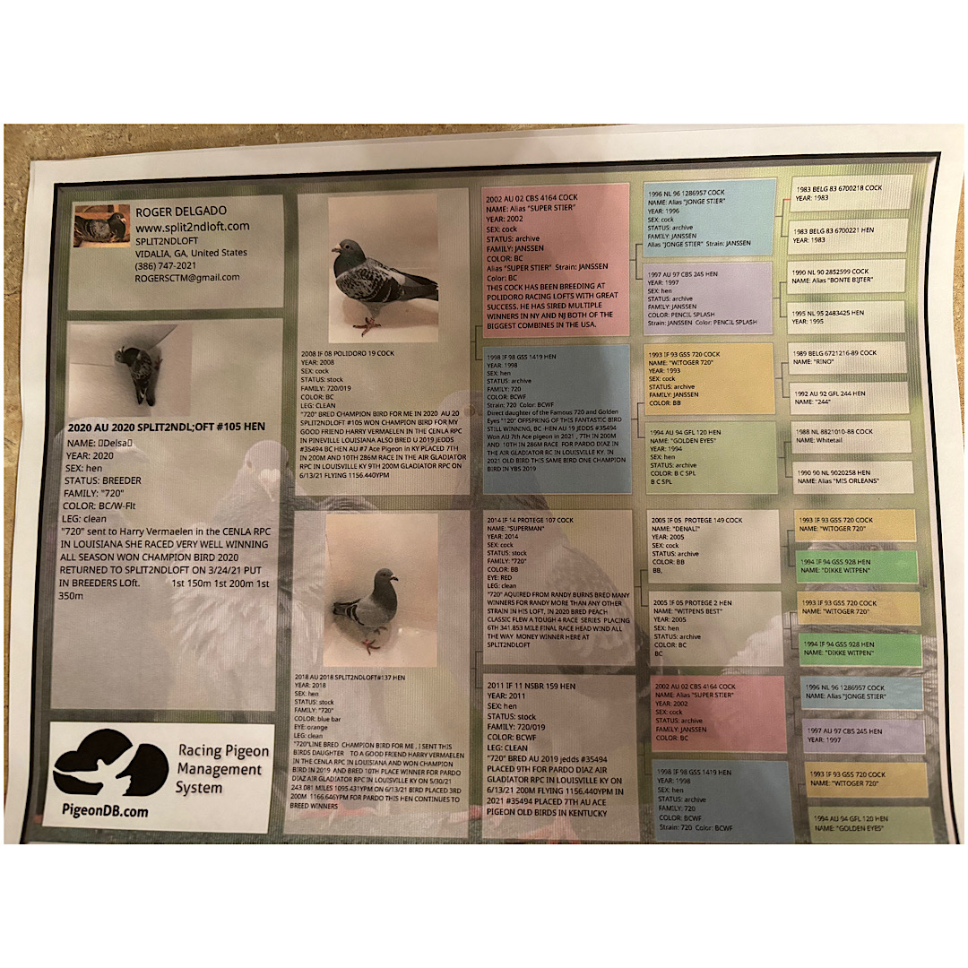 Preview Image 2