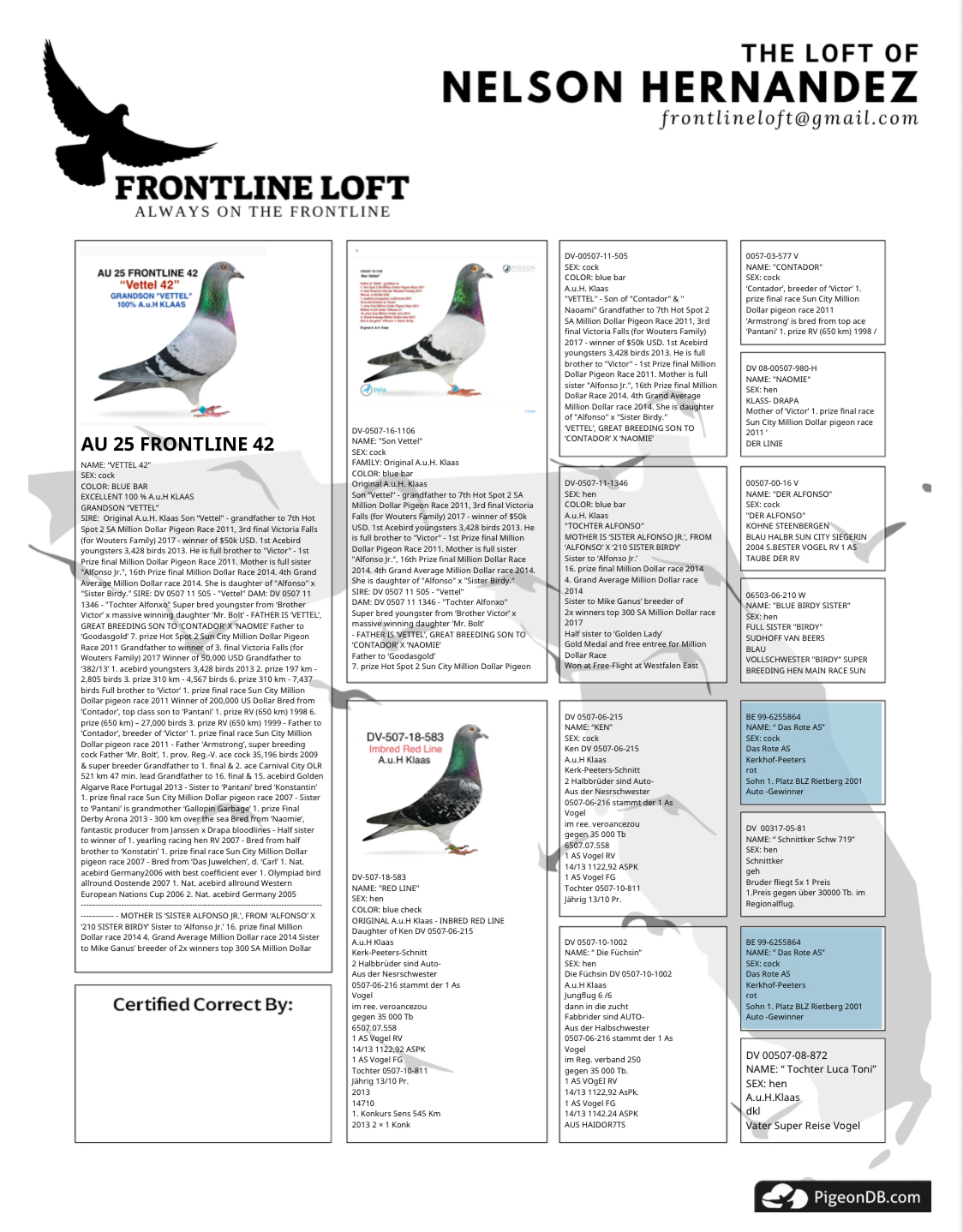 100 % A.u..H KLAAS - GRANDSON “VETTEL”