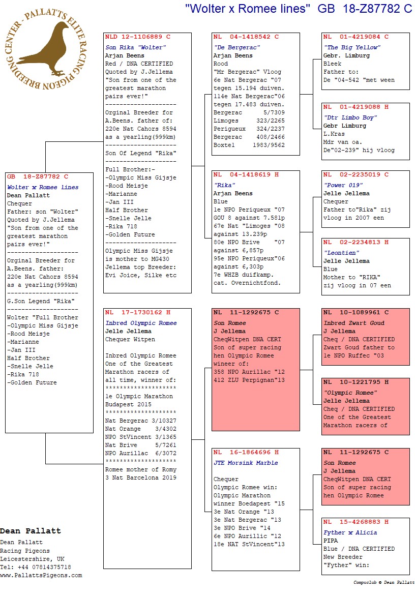 Preview Image 2