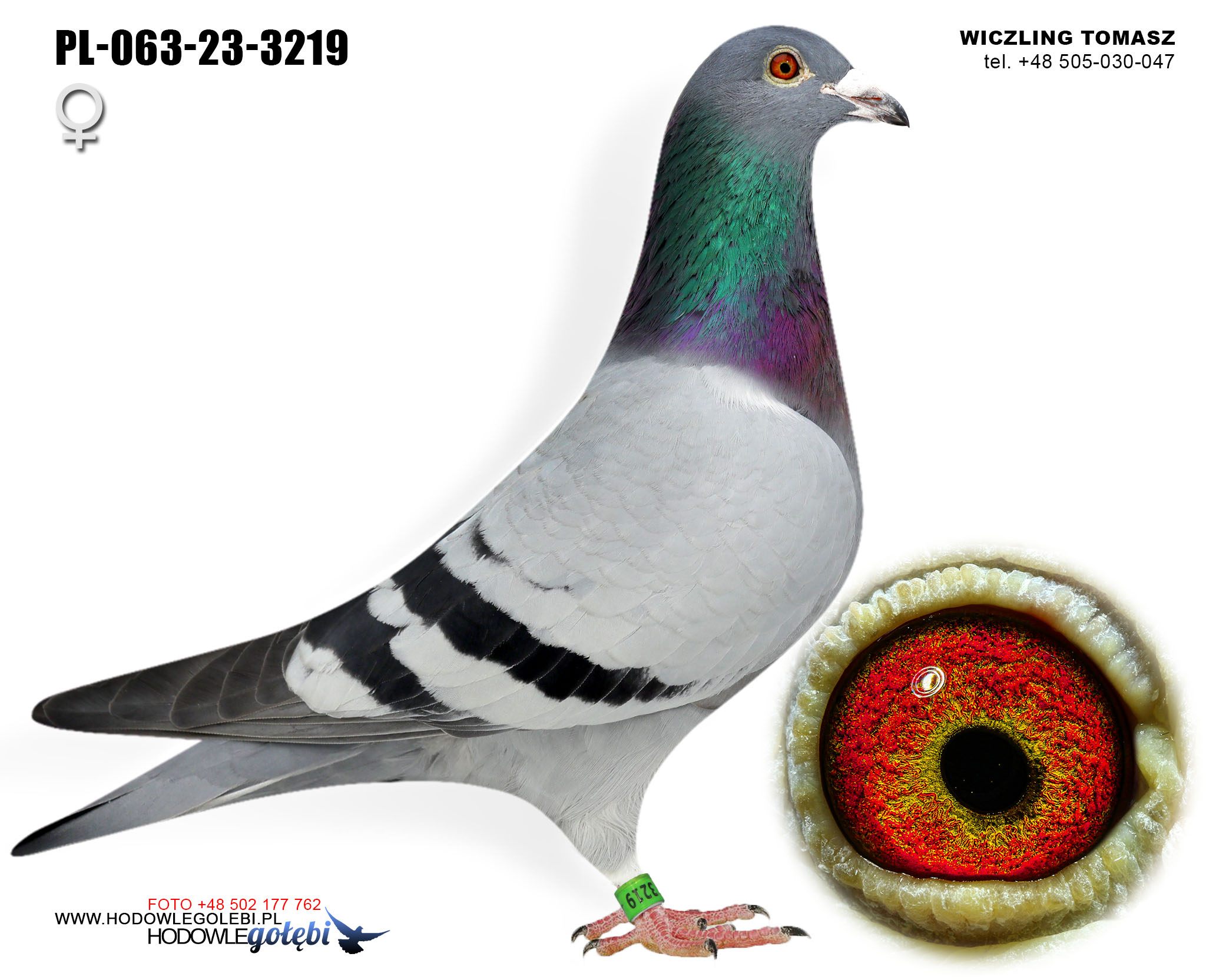 PL-063-23-3219 H