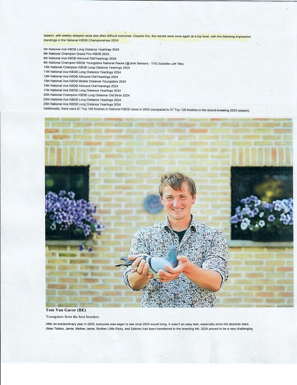 Preview Image 10