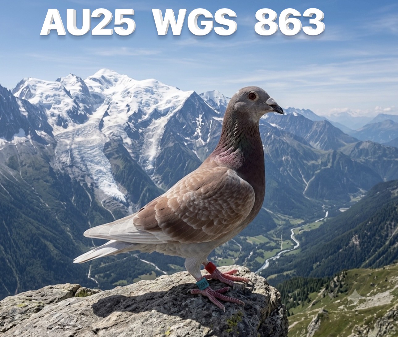 AU 2025 WGS 863 RC C