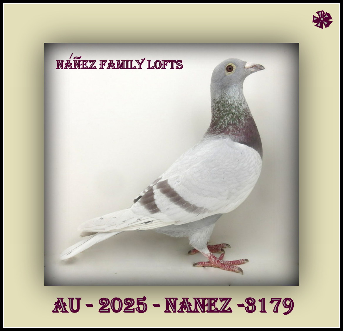 AU 2025 NANEZ 3179