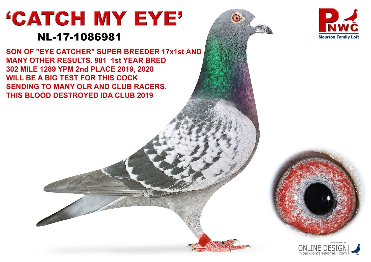 nl-1086981-17 bc cock