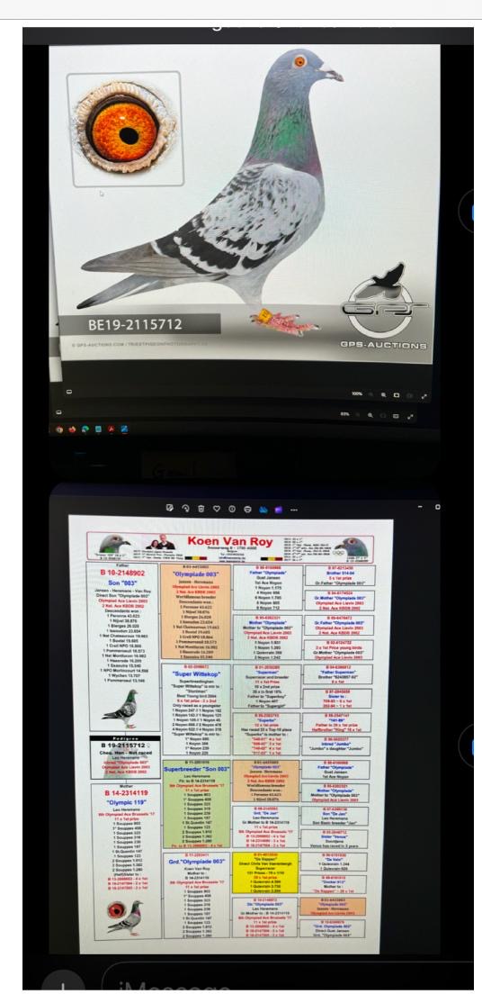 Preview Image 5