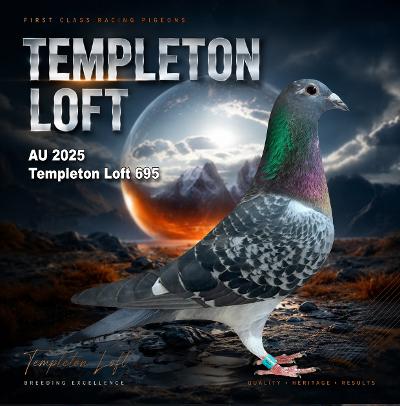 Templteon loft 2025/695