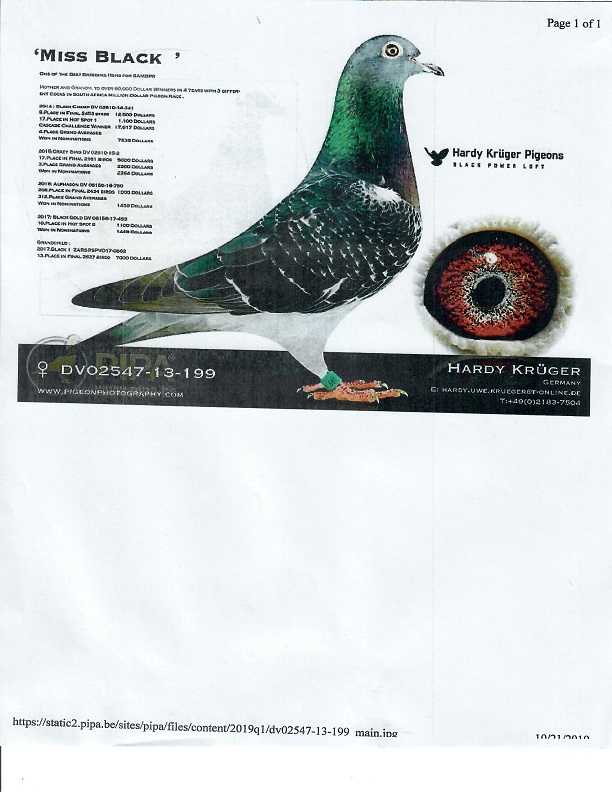 Preview Image 11
