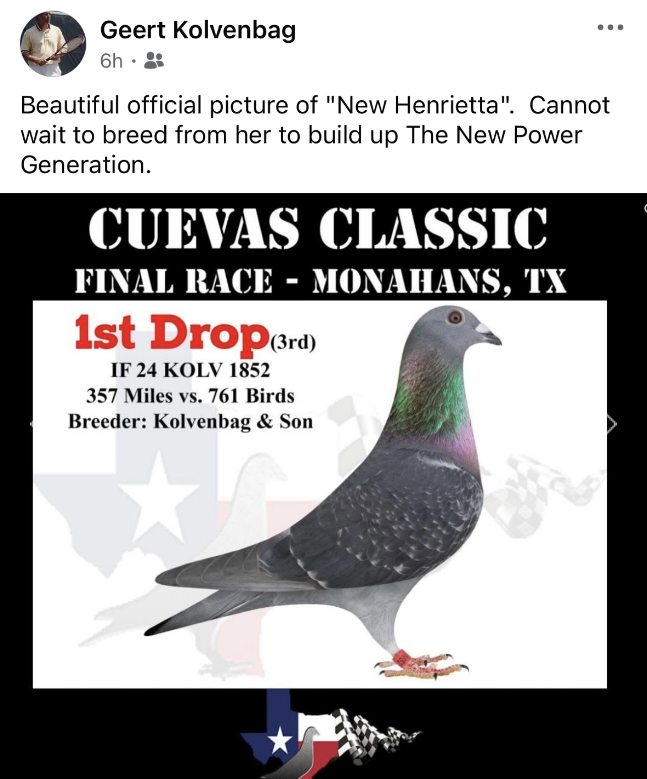iPigeon.com - Racing Pigeon Auction