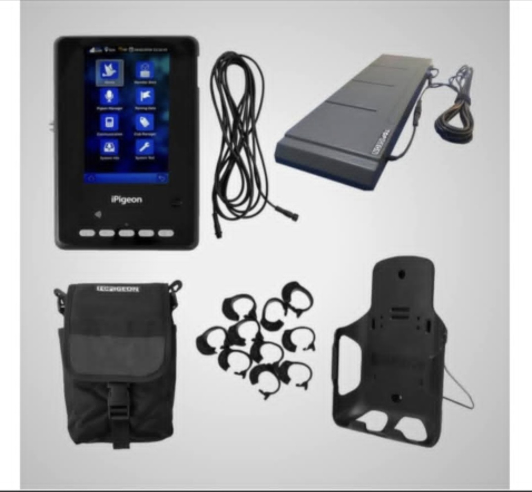  Top Pigeon Electronic Timing System