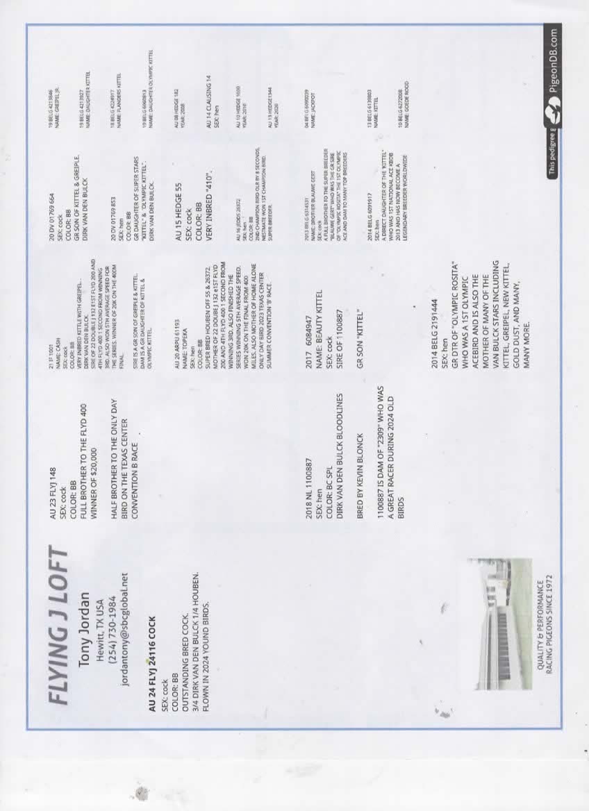 FROM TOP VAN BULCK AND HOUBEN LINES