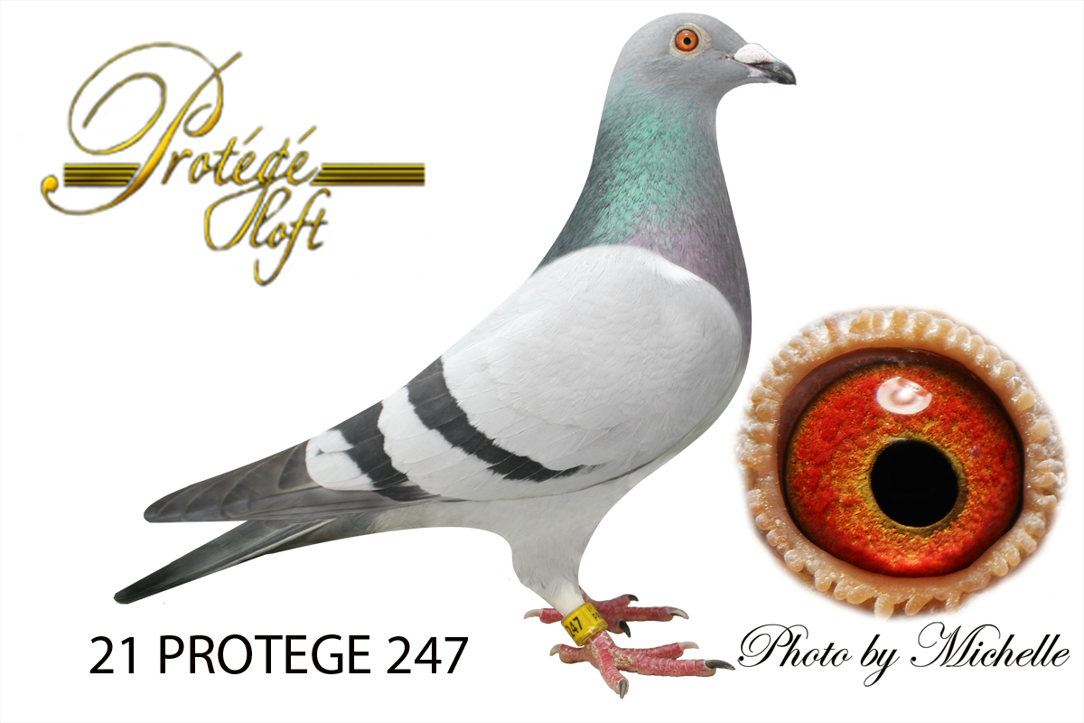 Best double grand daughter Picasso 